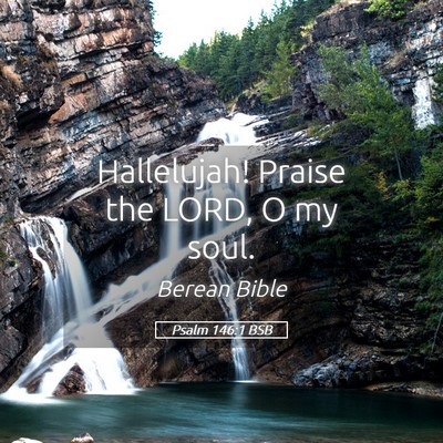 Picture 05 - Psalm 146:1 BSB - Hallelujah! Praise the LORD, O my - Bible Verse Picture