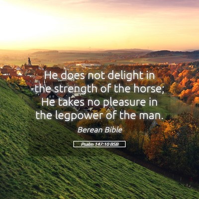 Picture 05 - Psalm 147:10 BSB - He does not delight in the strength of the horse; - Bible Verse Picture