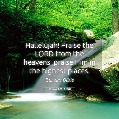 Picture 05 - Psalm 148:1 BSB - Hallelujah! Praise the LORD from the heavens; - Bible Verse Picture