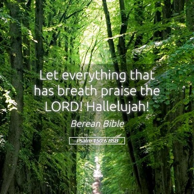 Picture 05 - Psalm 150:6 BSB - Let everything that has breath praise the LORD! - Bible Verse Picture