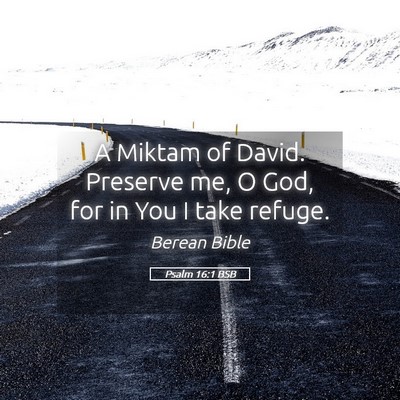 Picture 05 - Psalm 16:1 BSB - A Miktam of David. Preserve me, O God, for in You - Bible Verse Picture