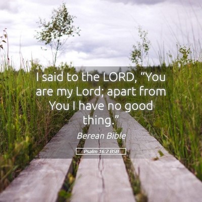 Picture 05 - Psalm 16:2 BSB - I said to the LORD, “You are my Lord; apart - Bible Verse Picture