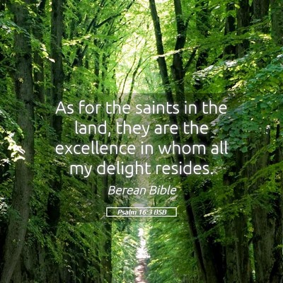 Picture 05 - Psalm 16:3 BSB - As for the saints in the land, they are the - Bible Verse Picture