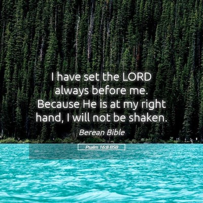 Picture 05 - Psalm 16:8 BSB - I have set the LORD always before me. Because He - Bible Verse Picture