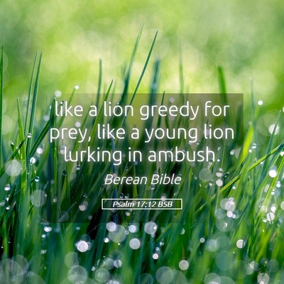 Picture 05 - Psalm 17:12 BSB - like a lion greedy for prey, like a young lion - Bible Verse Picture