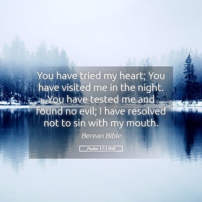 Picture 05 - Psalm 17:3 BSB - You have tried my heart; You have visited me in - Bible Verse Picture