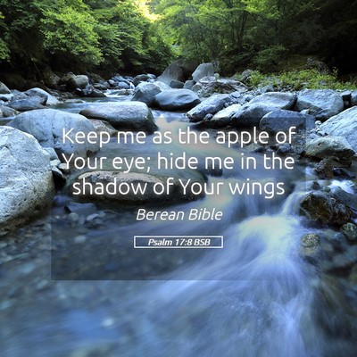 Picture 05 - Psalm 17:8 BSB - Keep me as the apple of Your eye; hide me in the - Bible Verse Picture