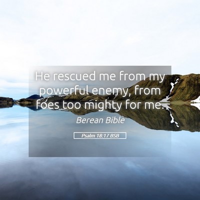 Picture 05 - Psalm 18:17 BSB - He rescued me from my powerful enemy, from foes - Bible Verse Picture
