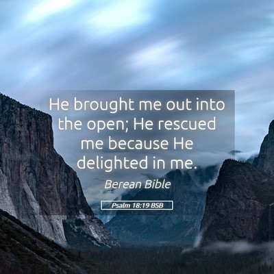 Picture 05 - Psalm 18:19 BSB - He brought me out into the open; He rescued me - Bible Verse Picture