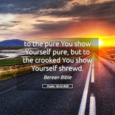 Picture 05 - Psalm 18:26 BSB - to the pure You show Yourself pure, but to the - Bible Verse Picture