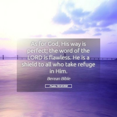 Picture 05 - Psalm 18:30 BSB - As for God, His way is perfect; the word of the - Bible Verse Picture