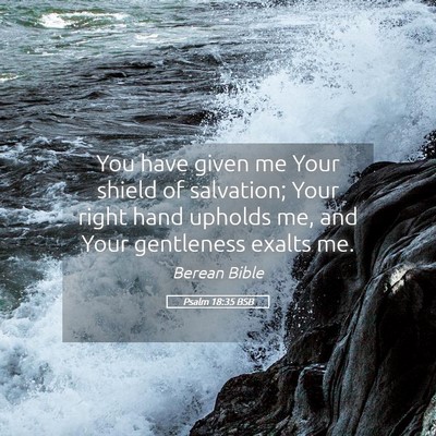 Picture 05 - Psalm 18:35 BSB - You have given me Your shield of salvation; Your - Bible Verse Picture