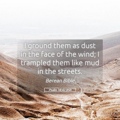 Picture 05 - Psalm 18:42 BSB - I ground them as dust in the face of the wind; I - Bible Verse Picture