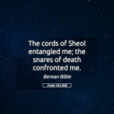 Picture 05 - Psalm 18:5 BSB - The cords of Sheol entangled me; the snares of - Bible Verse Picture