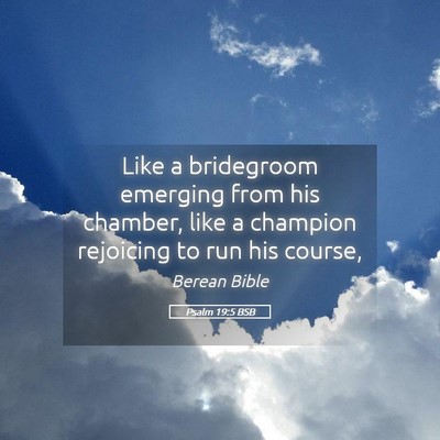 Picture 05 - Psalm 19:5 BSB - Like a bridegroom emerging from his chamber, like - Bible Verse Picture