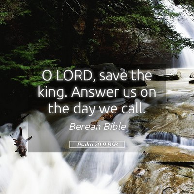 Picture 05 - Psalm 20:9 BSB - O LORD, save the king. Answer us on the day we - Bible Verse Picture