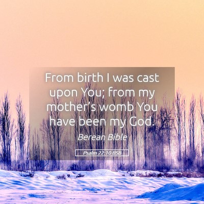 Picture 05 - Psalm 22:10 BSB - From birth I was cast upon You; from my - Bible Verse Picture