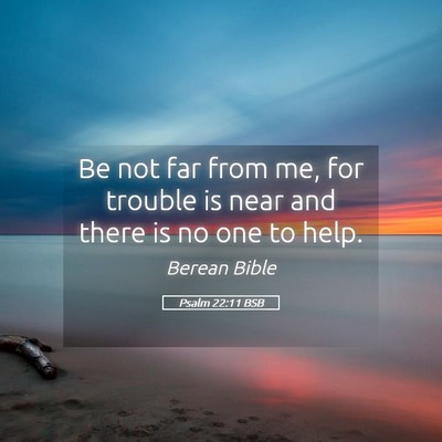 Picture 05 - Psalm 22:11 BSB - Be not far from me, for trouble is near and there - Bible Verse Picture