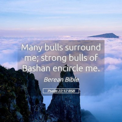 Picture 05 - Psalm 22:12 BSB - Many bulls surround me; strong bulls of Bashan - Bible Verse Picture