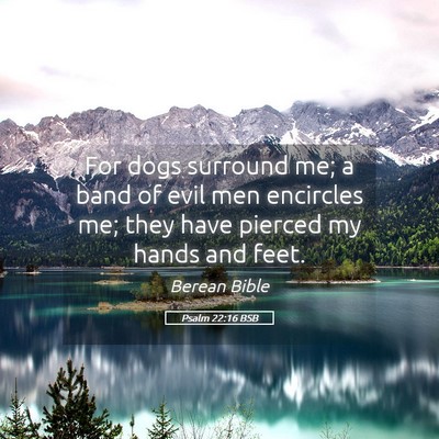 Picture 05 - Psalm 22:16 BSB - For dogs surround me; a band of evil men - Bible Verse Picture