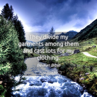 Picture 05 - Psalm 22:18 BSB - They divide my garments among them and cast lots - Bible Verse Picture