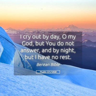 Picture 05 - Psalm 22:2 BSB - I cry out by day, O my God, but You do not - Bible Verse Picture