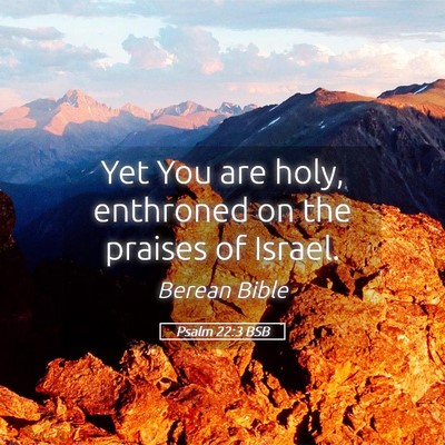 Picture 05 - Psalm 22:3 BSB - Yet You are holy, enthroned on the praises of - Bible Verse Picture