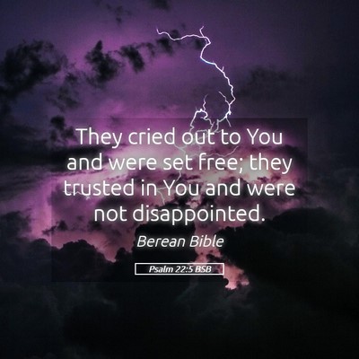 Picture 05 - Psalm 22:5 BSB - They cried out to You and were set free; they - Bible Verse Picture