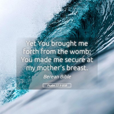 Picture 05 - Psalm 22:9 BSB - Yet You brought me forth from the womb; You made - Bible Verse Picture