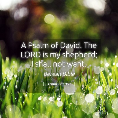 Picture 05 - Psalm 23:1 BSB - A Psalm of David. The LORD is my shepherd; I - Bible Verse Picture