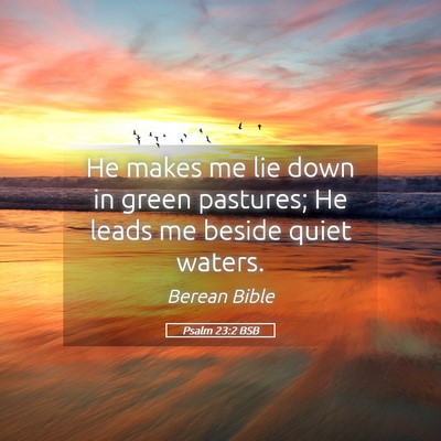 Picture 05 - Psalm 23:2 BSB - He makes me lie down in green pastures; He leads - Bible Verse Picture