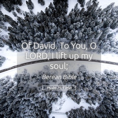 Picture 05 - Psalm 25:1 BSB - Of David. To You, O LORD, I lift up my - Bible Verse Picture