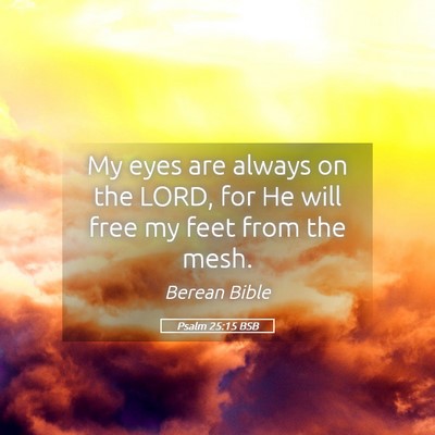 Picture 05 - Psalm 25:15 BSB - My eyes are always on the LORD, for He will free - Bible Verse Picture