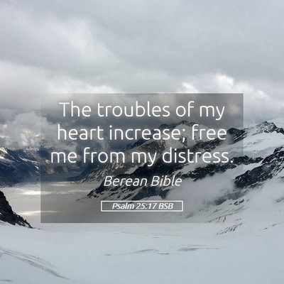Picture 05 - Psalm 25:17 BSB - The troubles of my heart increase; free me from - Bible Verse Picture