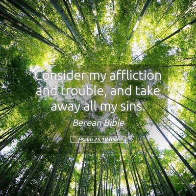 Picture 05 - Psalm 25:18 BSB - Consider my affliction and trouble, and take away - Bible Verse Picture