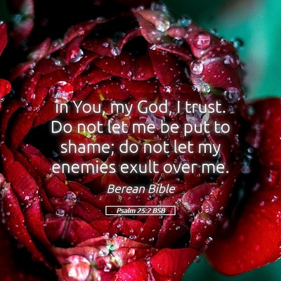 Picture 05 - Psalm 25:2 BSB - in You, my God, I trust. Do not let me be put to - Bible Verse Picture