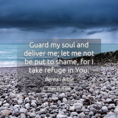 Picture 05 - Psalm 25:20 BSB - Guard my soul and deliver me; let me not be put - Bible Verse Picture