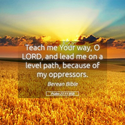 Picture 05 - Psalm 27:11 BSB - Teach me Your way, O LORD, and lead me on a level - Bible Verse Picture