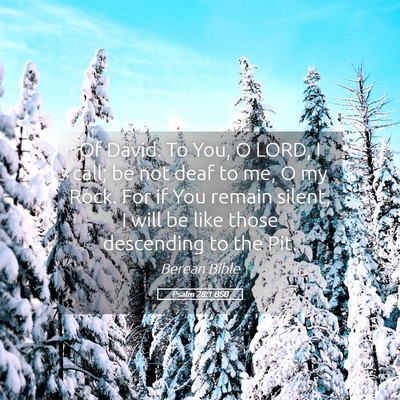 Picture 05 - Psalm 28:1 BSB - Of David. To You, O LORD, I call; be not deaf to - Bible Verse Picture
