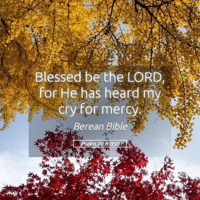 Picture 05 - Psalm 28:6 BSB - Blessed be the LORD, for He has heard my cry for - Bible Verse Picture