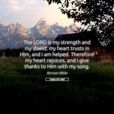 Picture 05 - Psalm 28:7 BSB - The LORD is my strength and my shield; my heart - Bible Verse Picture