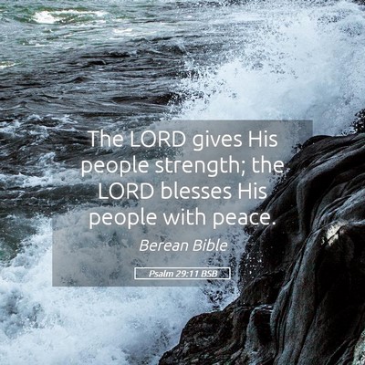 Picture 05 - Psalm 29:11 BSB - The LORD gives His people strength; the LORD - Bible Verse Picture