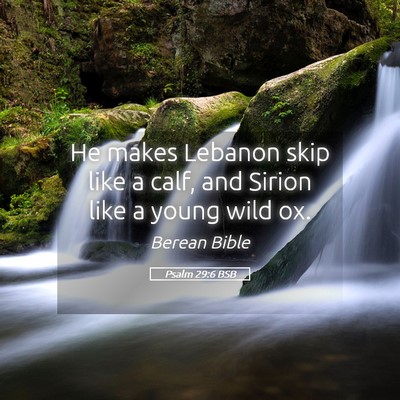 Picture 05 - Psalm 29:6 BSB - He makes Lebanon skip like a calf, and Sirion - Bible Verse Picture