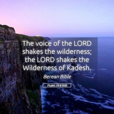 Picture 05 - Psalm 29:8 BSB - The voice of the LORD shakes the wilderness; the - Bible Verse Picture