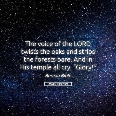 Picture 05 - Psalm 29:9 BSB - The voice of the LORD twists the oaks and strips - Bible Verse Picture
