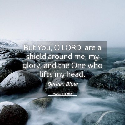 Picture 05 - Psalm 3:3 BSB - But You, O LORD, are a shield around me, my - Bible Verse Picture