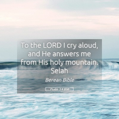 Picture 05 - Psalm 3:4 BSB - To the LORD I cry aloud, and He answers me from - Bible Verse Picture