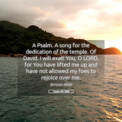 Picture 05 - Psalm 30:1 BSB - A Psalm. A song for the dedication of the temple. - Bible Verse Picture
