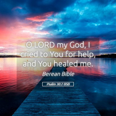 Picture 05 - Psalm 30:2 BSB - O LORD my God, I cried to You for help, and You - Bible Verse Picture