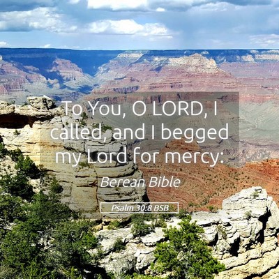 Picture 05 - Psalm 30:8 BSB - To You, O LORD, I called, and I begged my Lord - Bible Verse Picture